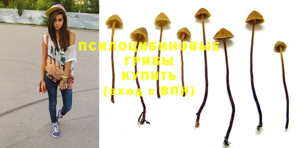 скорость Новокубанск