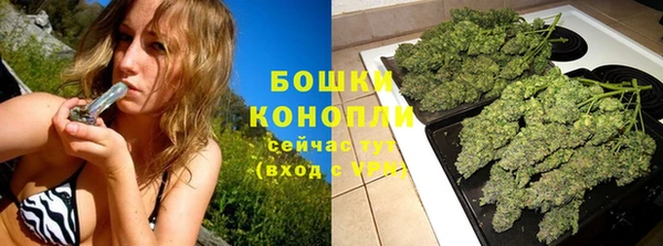 дурь Новозыбков
