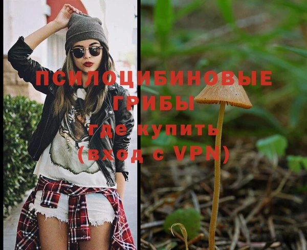ECSTASY Новодвинск
