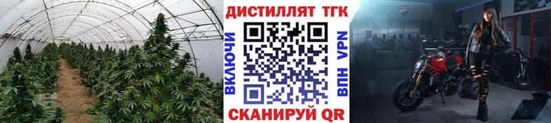 магазин продажи   Харабали  даркнет телеграм  Дистиллят ТГК Wax 